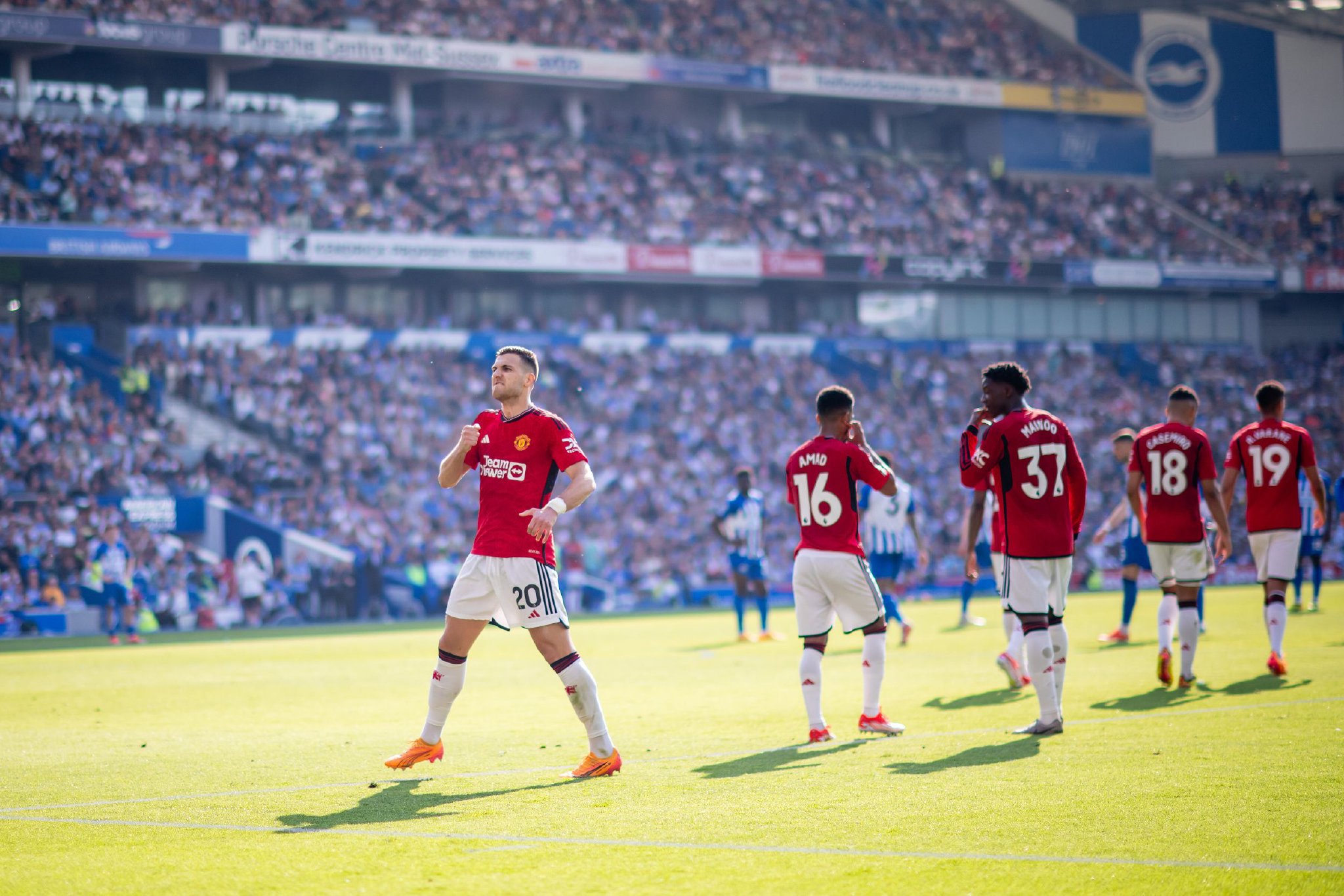 表现尤为亮 表现尤为亮